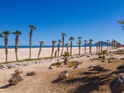 6BR Beach Rental - Image 3