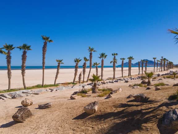 6BR Beach Rental - Image 3